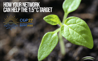 COP 27: How you network can help the 1.5°C target